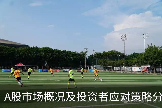 A股市场概况及投资者应对策略分析